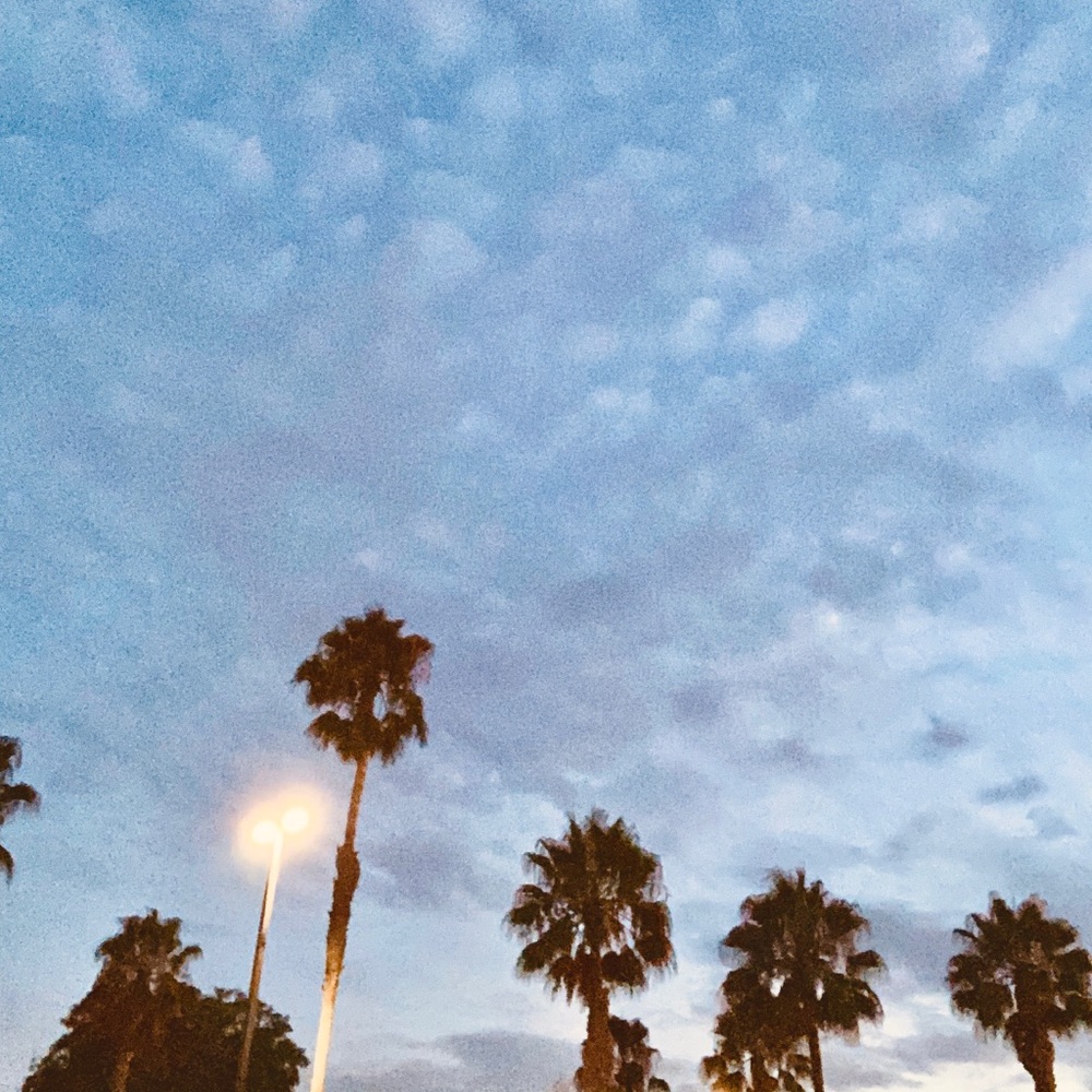 Meet your Posher, London